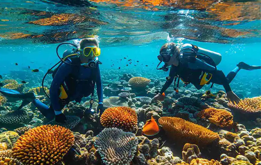 Lakshadweep Snorkeling